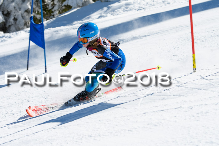 Ziener Cup WF, Finale, Quali + Parallelslalom, 24.03.2018