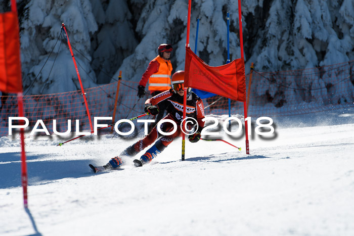 Ziener Cup WF, Finale, Quali + Parallelslalom, 24.03.2018