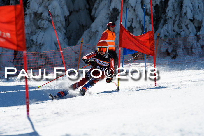 Ziener Cup WF, Finale, Quali + Parallelslalom, 24.03.2018