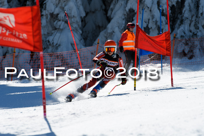 Ziener Cup WF, Finale, Quali + Parallelslalom, 24.03.2018