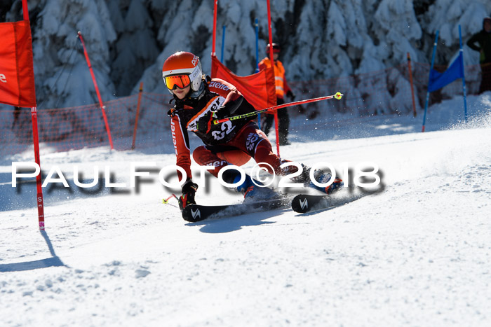 Ziener Cup WF, Finale, Quali + Parallelslalom, 24.03.2018