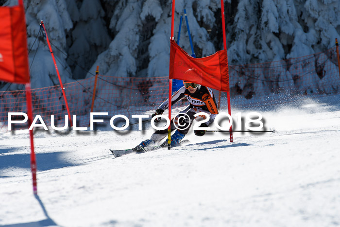 Ziener Cup WF, Finale, Quali + Parallelslalom, 24.03.2018