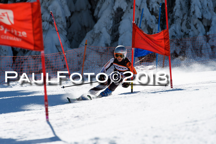 Ziener Cup WF, Finale, Quali + Parallelslalom, 24.03.2018