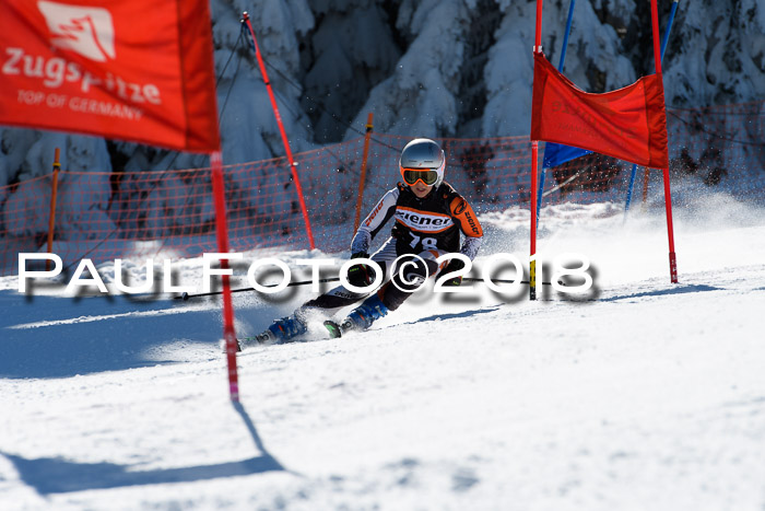 Ziener Cup WF, Finale, Quali + Parallelslalom, 24.03.2018