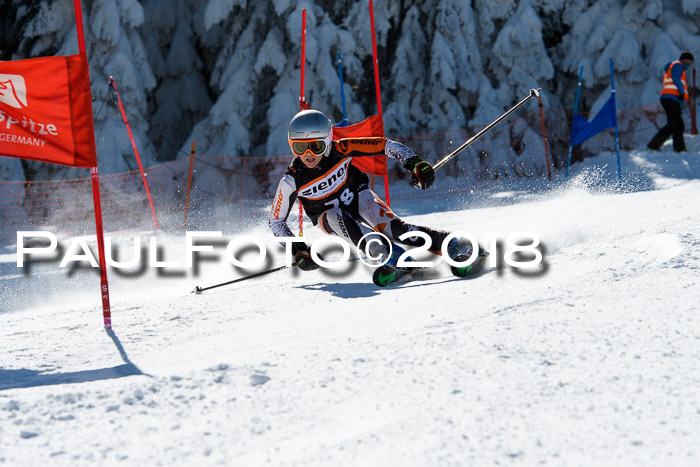 Ziener Cup WF, Finale, Quali + Parallelslalom, 24.03.2018