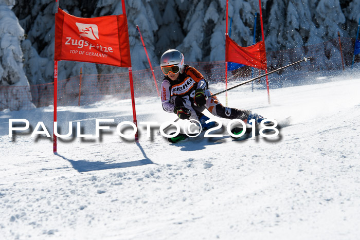 Ziener Cup WF, Finale, Quali + Parallelslalom, 24.03.2018