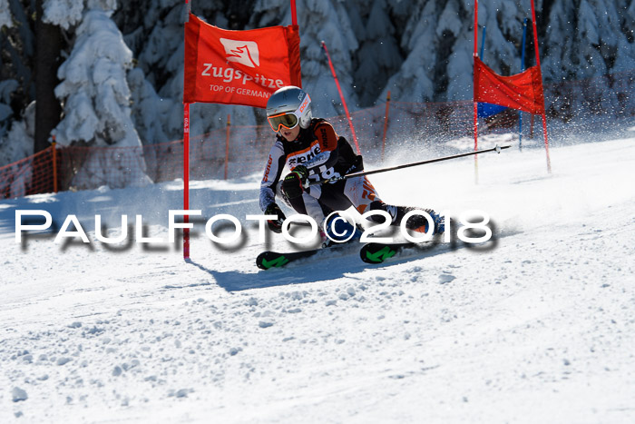 Ziener Cup WF, Finale, Quali + Parallelslalom, 24.03.2018