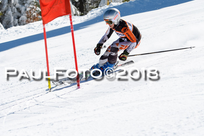 Ziener Cup WF, Finale, Quali + Parallelslalom, 24.03.2018