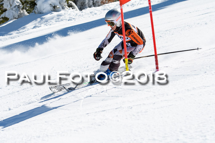 Ziener Cup WF, Finale, Quali + Parallelslalom, 24.03.2018