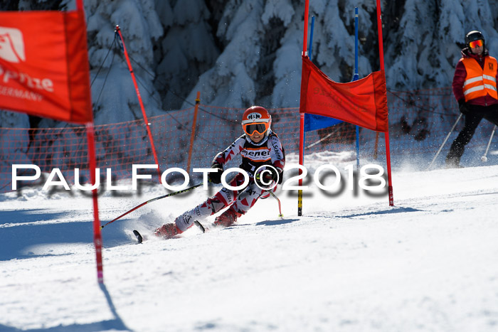 Ziener Cup WF, Finale, Quali + Parallelslalom, 24.03.2018