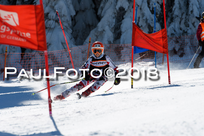 Ziener Cup WF, Finale, Quali + Parallelslalom, 24.03.2018