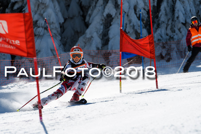 Ziener Cup WF, Finale, Quali + Parallelslalom, 24.03.2018