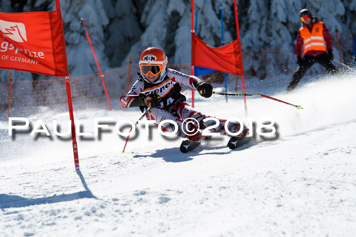 Ziener Cup WF, Finale, Quali + Parallelslalom, 24.03.2018