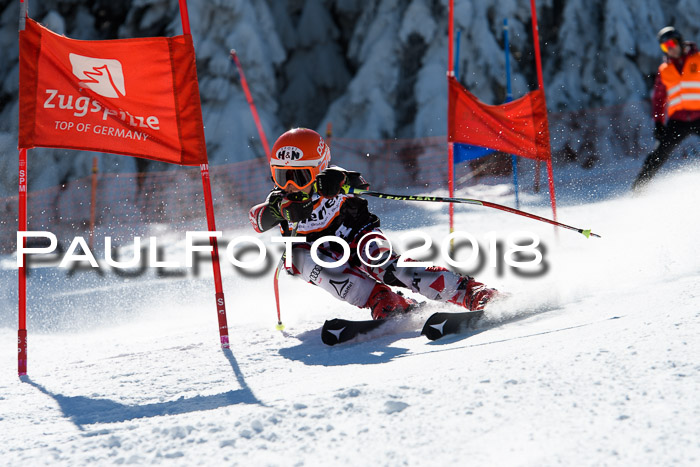 Ziener Cup WF, Finale, Quali + Parallelslalom, 24.03.2018