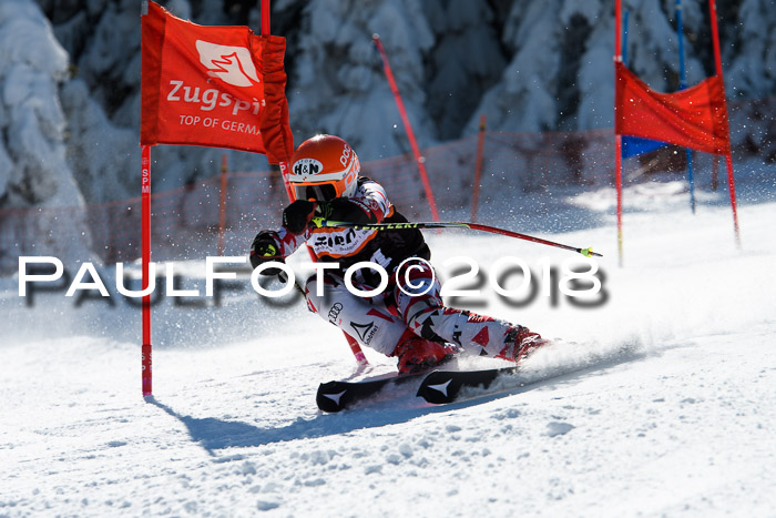 Ziener Cup WF, Finale, Quali + Parallelslalom, 24.03.2018
