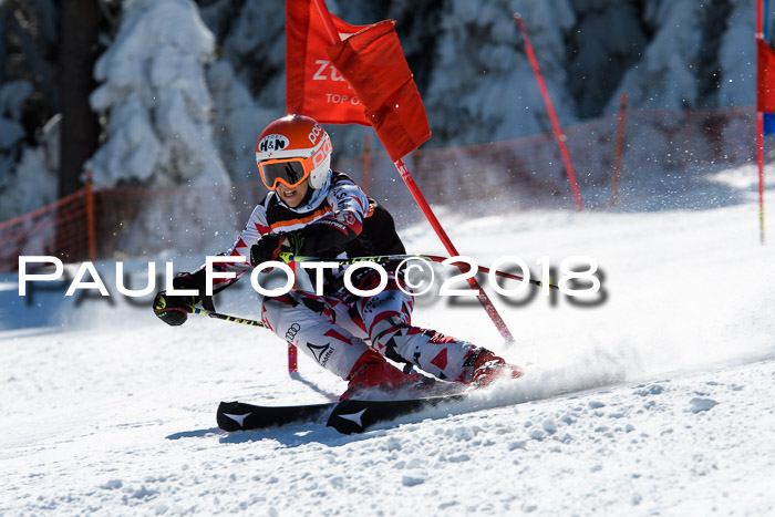 Ziener Cup WF, Finale, Quali + Parallelslalom, 24.03.2018