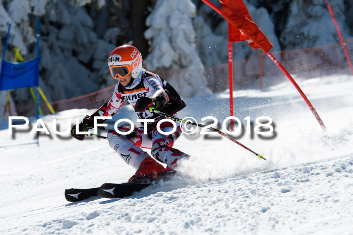 Ziener Cup WF, Finale, Quali + Parallelslalom, 24.03.2018