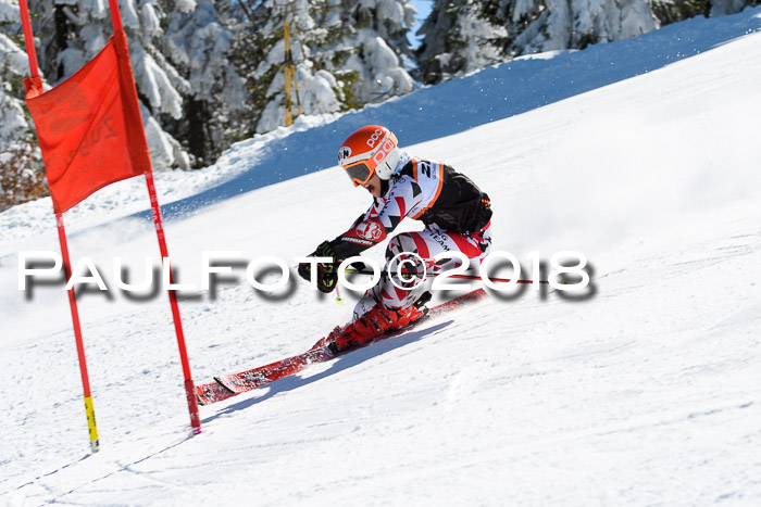 Ziener Cup WF, Finale, Quali + Parallelslalom, 24.03.2018