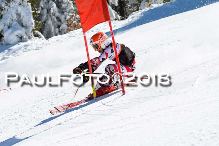 Ziener Cup WF, Finale, Quali + Parallelslalom, 24.03.2018