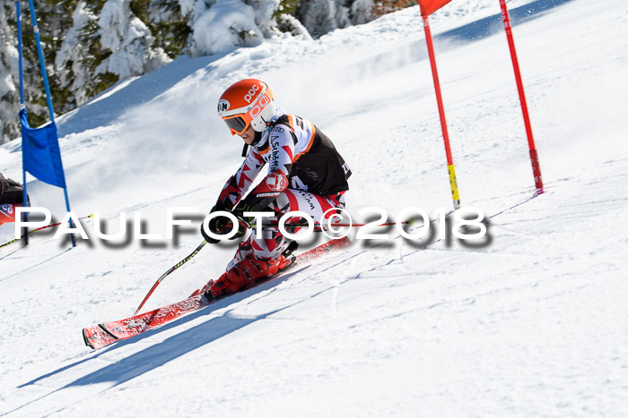 Ziener Cup WF, Finale, Quali + Parallelslalom, 24.03.2018