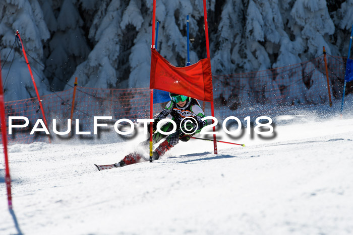 Ziener Cup WF, Finale, Quali + Parallelslalom, 24.03.2018