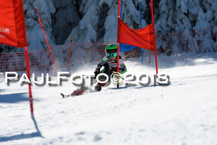 Ziener Cup WF, Finale, Quali + Parallelslalom, 24.03.2018