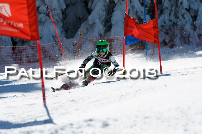 Ziener Cup WF, Finale, Quali + Parallelslalom, 24.03.2018