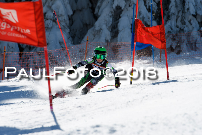 Ziener Cup WF, Finale, Quali + Parallelslalom, 24.03.2018