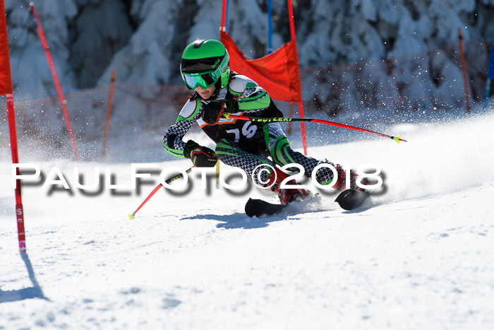 Ziener Cup WF, Finale, Quali + Parallelslalom, 24.03.2018