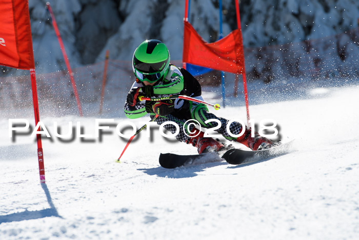Ziener Cup WF, Finale, Quali + Parallelslalom, 24.03.2018