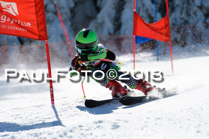 Ziener Cup WF, Finale, Quali + Parallelslalom, 24.03.2018