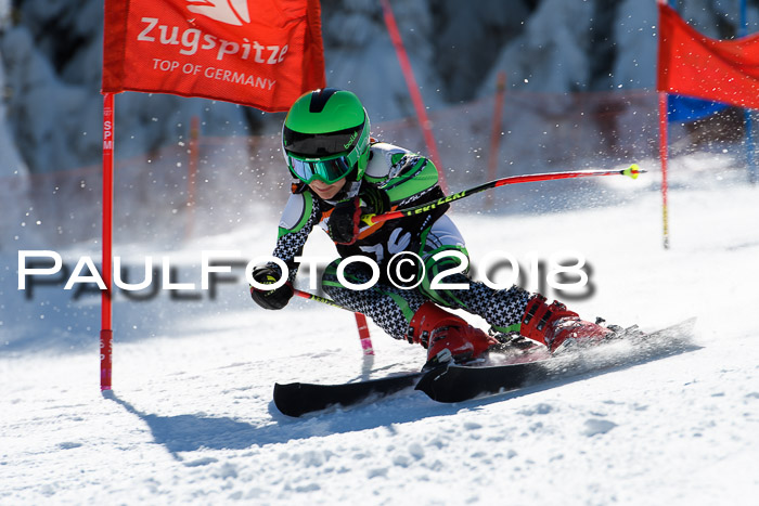Ziener Cup WF, Finale, Quali + Parallelslalom, 24.03.2018