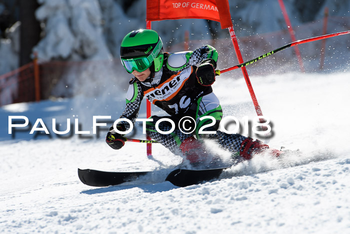 Ziener Cup WF, Finale, Quali + Parallelslalom, 24.03.2018
