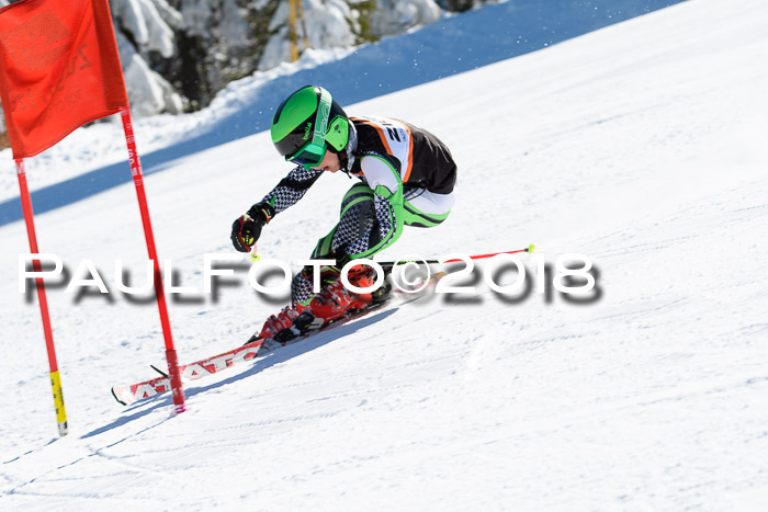 Ziener Cup WF, Finale, Quali + Parallelslalom, 24.03.2018