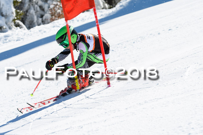 Ziener Cup WF, Finale, Quali + Parallelslalom, 24.03.2018