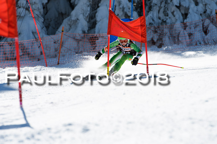 Ziener Cup WF, Finale, Quali + Parallelslalom, 24.03.2018