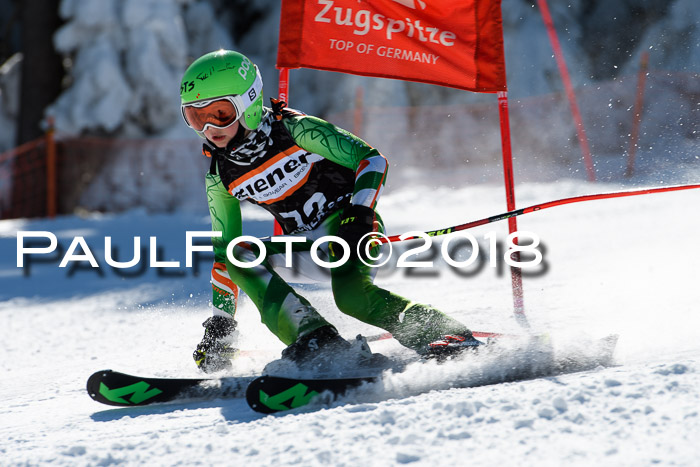 Ziener Cup WF, Finale, Quali + Parallelslalom, 24.03.2018