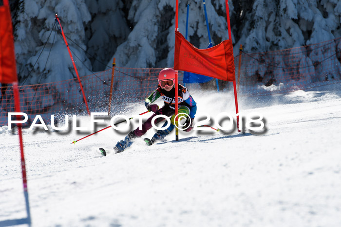 Ziener Cup WF, Finale, Quali + Parallelslalom, 24.03.2018