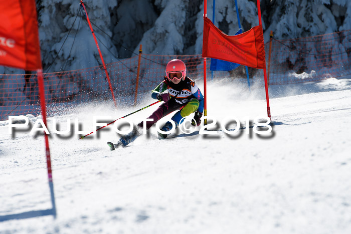 Ziener Cup WF, Finale, Quali + Parallelslalom, 24.03.2018