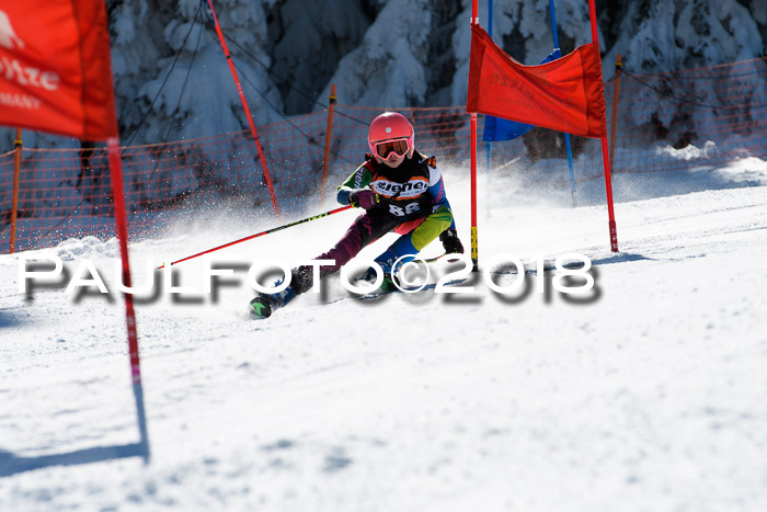 Ziener Cup WF, Finale, Quali + Parallelslalom, 24.03.2018
