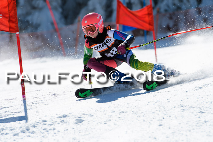 Ziener Cup WF, Finale, Quali + Parallelslalom, 24.03.2018