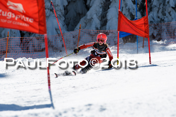 Ziener Cup WF, Finale, Quali + Parallelslalom, 24.03.2018