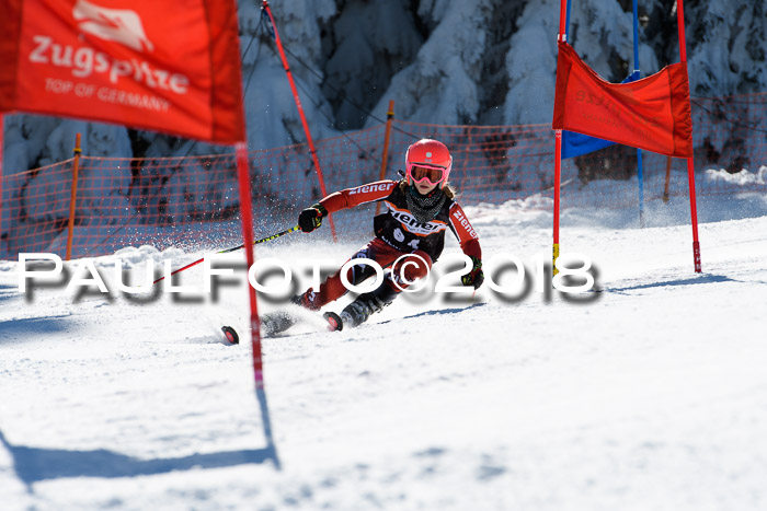 Ziener Cup WF, Finale, Quali + Parallelslalom, 24.03.2018
