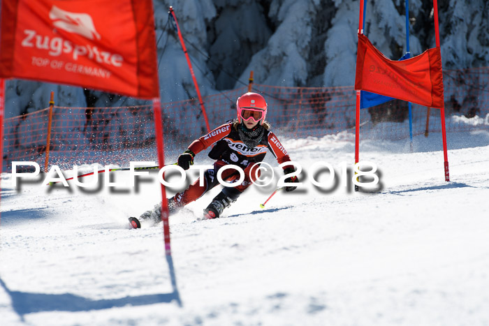 Ziener Cup WF, Finale, Quali + Parallelslalom, 24.03.2018
