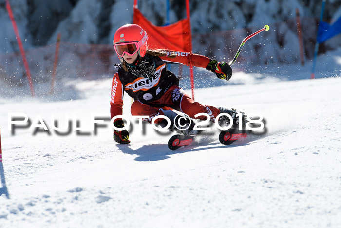 Ziener Cup WF, Finale, Quali + Parallelslalom, 24.03.2018