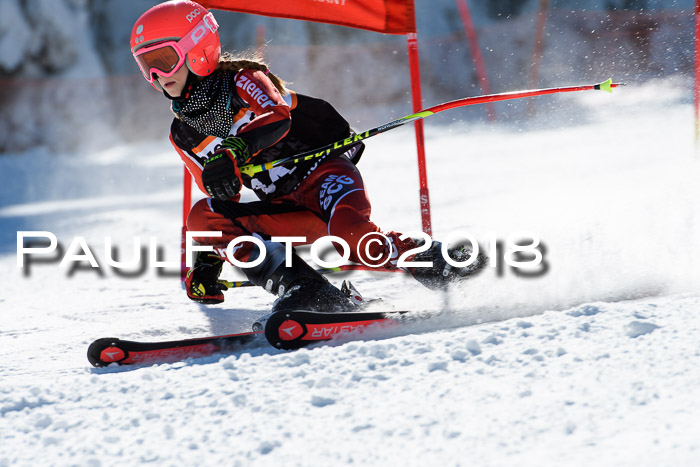 Ziener Cup WF, Finale, Quali + Parallelslalom, 24.03.2018
