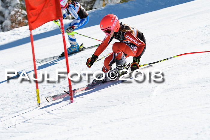 Ziener Cup WF, Finale, Quali + Parallelslalom, 24.03.2018