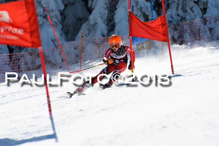 Ziener Cup WF, Finale, Quali + Parallelslalom, 24.03.2018