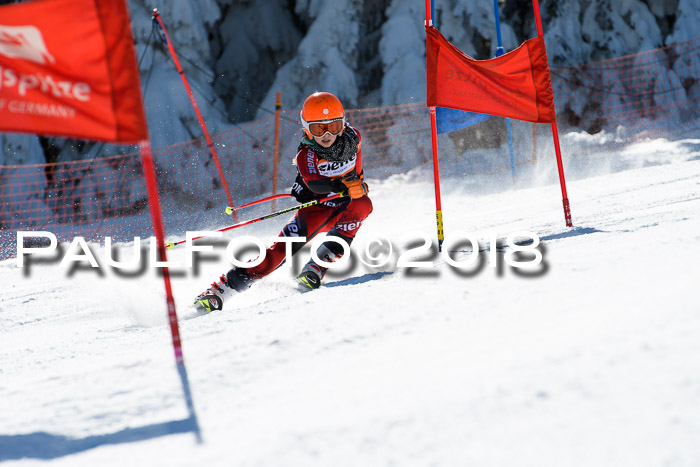 Ziener Cup WF, Finale, Quali + Parallelslalom, 24.03.2018