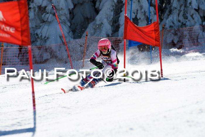 Ziener Cup WF, Finale, Quali + Parallelslalom, 24.03.2018